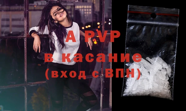 шишки Верхний Тагил