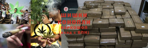 шишки Верхний Тагил